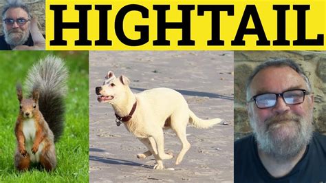 hightial|hightail meaning.